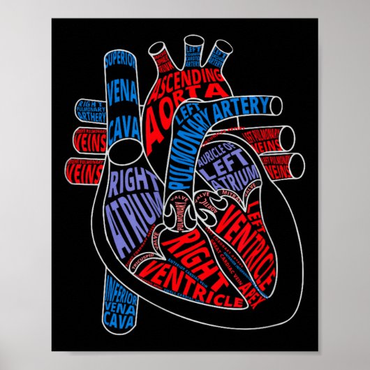 Parts Of Heart Anatomical Heart Gift For Cardiolog Poster (Vorne)