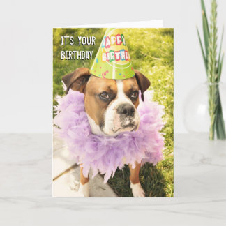 Party Animal Birthday Card Karte