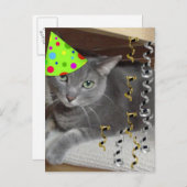 Party Animal Grey Cat Einladungspostkarte (Vorne/Hinten)