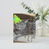 Party Animal Grey Cat Einladungspostkarte (Stehend Vorderseite)
