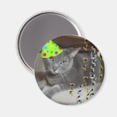 Party Animal Grey Cat Magnet (Vorderseite/Rückseite)