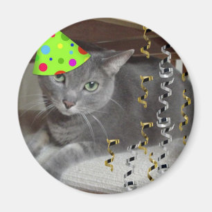 Party Animal Grey Cat Magnet