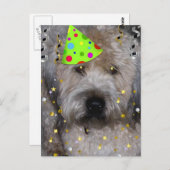 Party Animal Wheaton Terrier Postkarte (Vorne/Hinten)