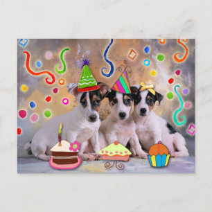 Party animals postkarte