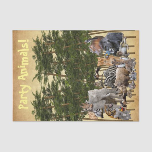 Party aus Gewebepapier Seidenpapier (Vorderseite)