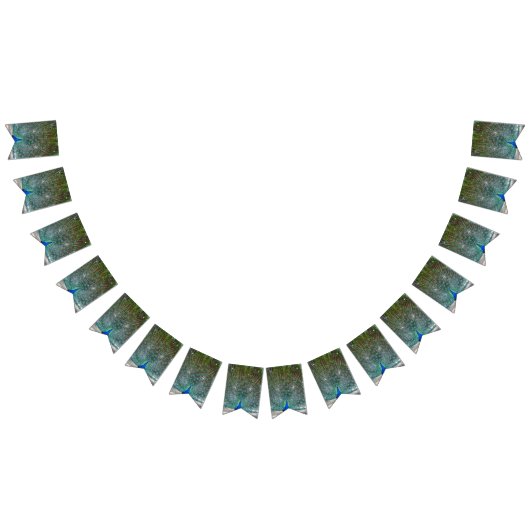 Party-Banner für Peacock-Design Wimpelkette (Alle)