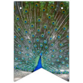 Party-Banner für Peacock-Design Wimpelkette (Erste Fahne)