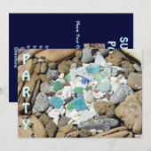 PARTY Beach Einladungen Seashells Driftwood (Vorne/Hinten)