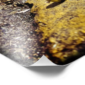 Party Beads in New Orleans Fotodruck (Ecke)