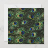 Party Birthday Peacock Green Blue Einladung (Rückseite)