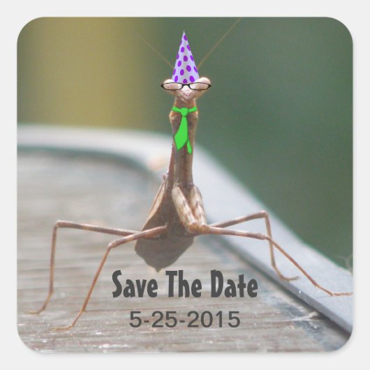 Party Bug Sticker (Vorderseite)