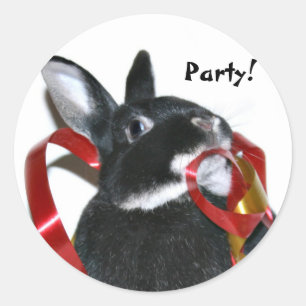 Party Bunny Runder Aufkleber