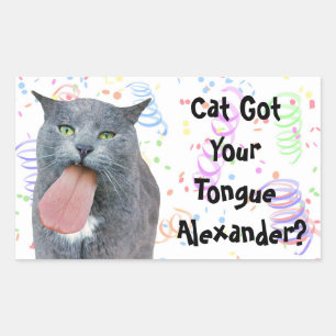 Party Cat Got Ihre Zunge? Rechteckiger Aufkleber