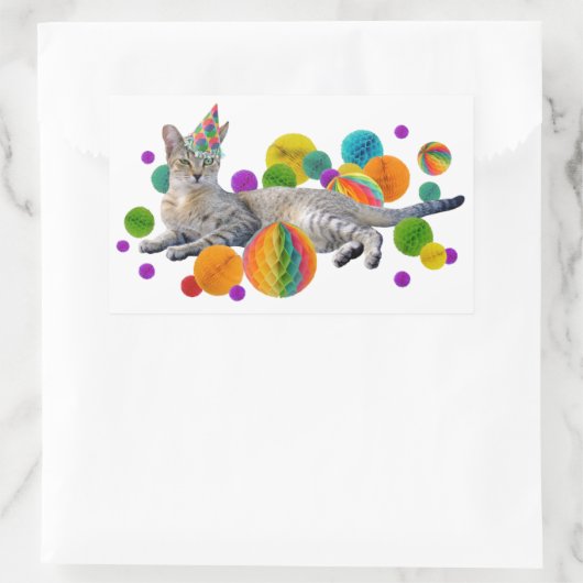 Party Cat Sticker (Tasche)
