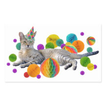 Party Cat Sticker