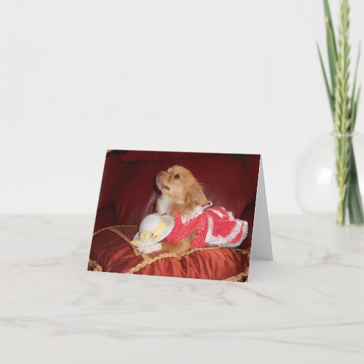 Party chi karte (Vorderseite)