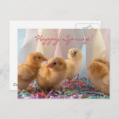 Party Chicks Yellow Baby Chickens Streamer Einladungspostkarte (Vorne/Hinten)