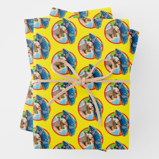 Party Chipmunk in Sombrero Geschenkpapier Set (Beispiel)