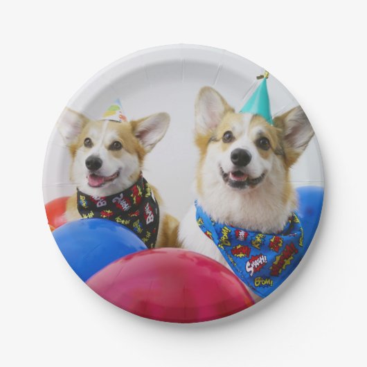 Party Corgis Paper Teller (Vorderseite)