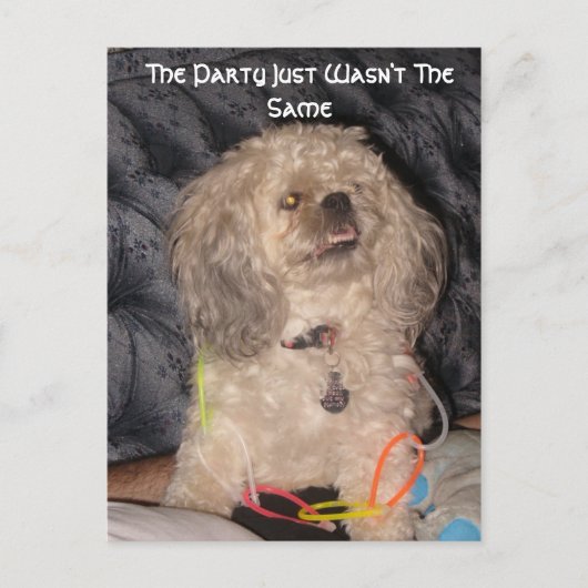 Party, das Party war einfach nicht gleich Postkarte (Vorderseite)