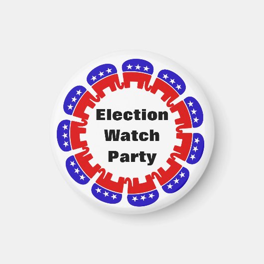 Party der republikanischen Wahlbeobachtungsmission Magnet (Vorne)