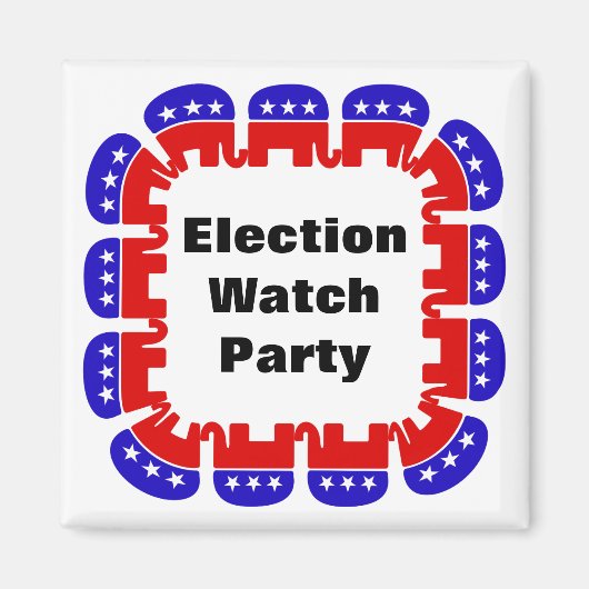 Party der republikanischen Wahlbeobachtungsmission Magnet (Vorne)