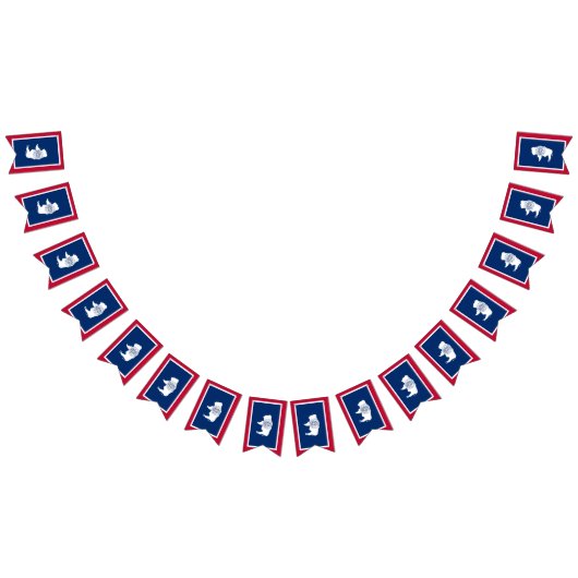 Party der "Wyoming Flag", Banners / Hochzeiten Wimpelkette (Alle)