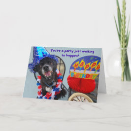Party Dog Funny Birthday Karte