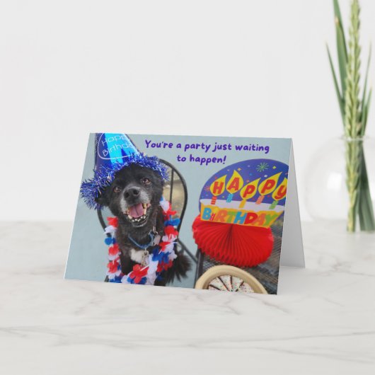 Party Dog Funny Birthday Karte (Vorderseite)
