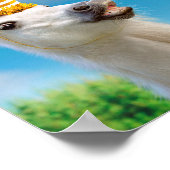 Party Einhorn und Regenbogen Poster (Ecke)