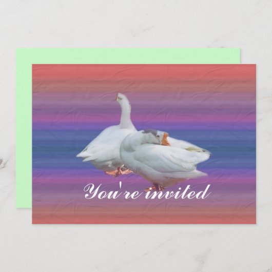 Party Einladung (Vorne/Hinten)