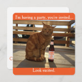Party Einladung, die eine orange Katze Einladung (Vorne/Hinten)