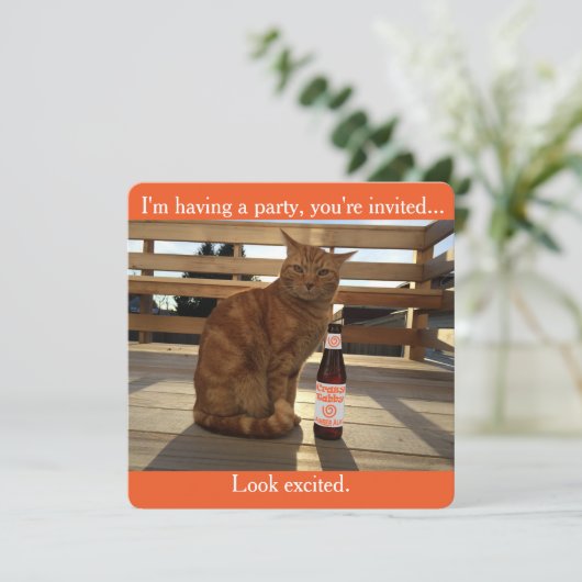 Party Einladung, die eine orange Katze Einladung (Stehend Vorderseite)