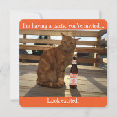 Party Einladung, die eine orange Katze Einladung (Vorderseite)