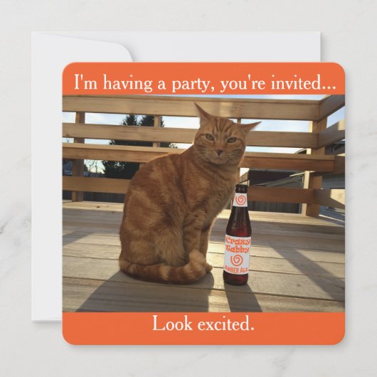 Party Einladung, die eine orange Katze Einladung (Vorderseite)