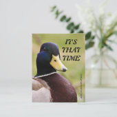 Party Einladung für die Jagd auf Gelbe und Blauent (Stehend Vorderseite)