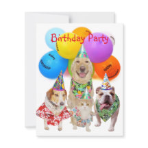 Party Einladung für individuelle Hunde