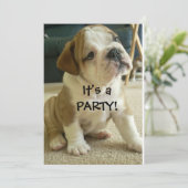 Party Einladungs-englischer Bulldoggen-Welpe Einladung (Stehend Vorderseite)