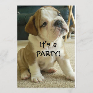 Party Einladungs-englischer Bulldoggen-Welpe Einladung