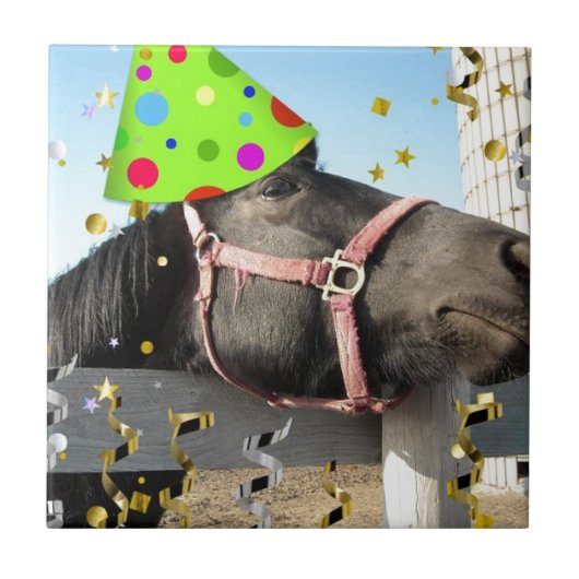 Party Fliese (Vorderseite)