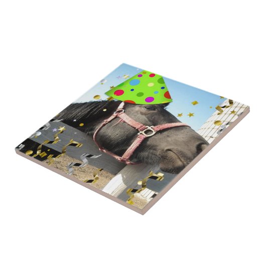 Party Fliese (Seite)