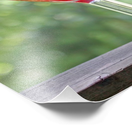 Party Fotodruck (Ecke)