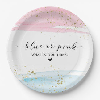 Party für das blaue oder rosa Geschlecht Pappteller