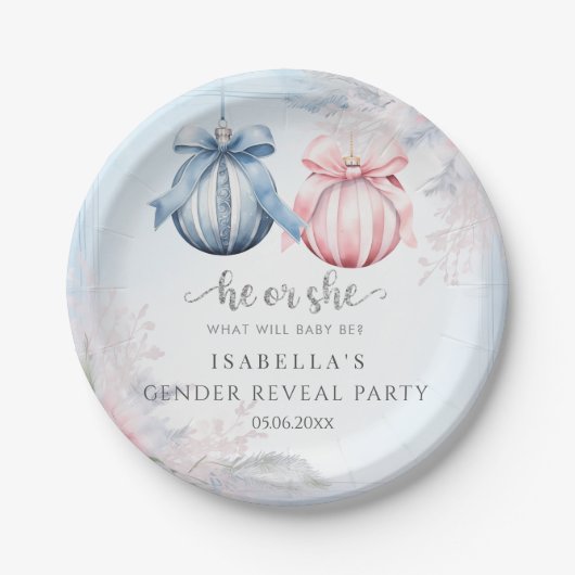 Party für das Wintergeschlechtsalter Pappteller (Vorderseite)