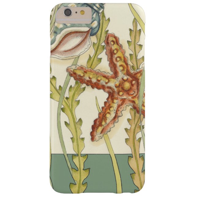 Party für mehrfarbige Muschel Case-Mate iPhone Hülle (Rückseite)