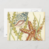 Party für mehrfarbige Muschel Einladungspostkarte (Vorne/Hinten)