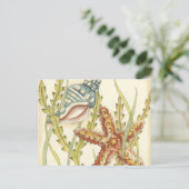 Party für mehrfarbige Muschel Einladungspostkarte (Stehend Vorderseite)