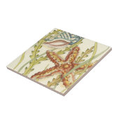 Party für mehrfarbige Muschel Fliese (Seite)