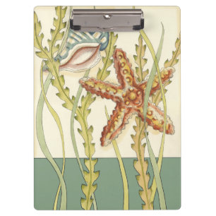 Party für mehrfarbige Muschel Klemmbrett