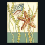 Party für mehrfarbige Muschel Poster<br><div class="desc">Charikilia Zarris ist eine talentierte Künstlerin, die für ihr Meereskunstwerk bekannt ist. Ihre Bilder sind friedlich und beruhigend und entspannen Sie mit jedem Bild. Dieses Wasserkunstwerk mit Seestern und einer Conch-Muschel, die das Zentrum von allen bildet, grenzt an einen schönen Seetang. Dieses Bild wird auf jedem fertigen Produkt großartig aussehen....</div>